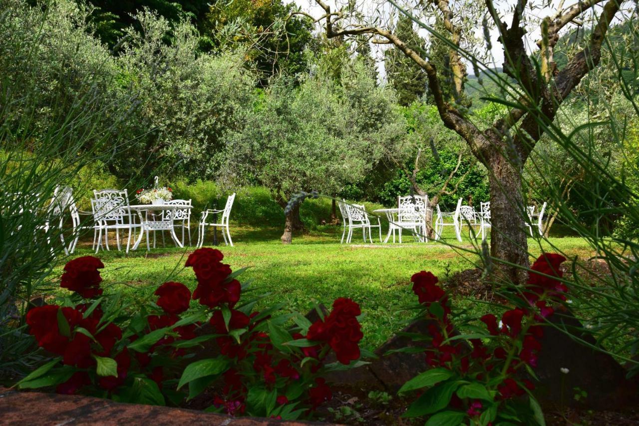 La Sosta In Toscana Camaiore Luaran gambar